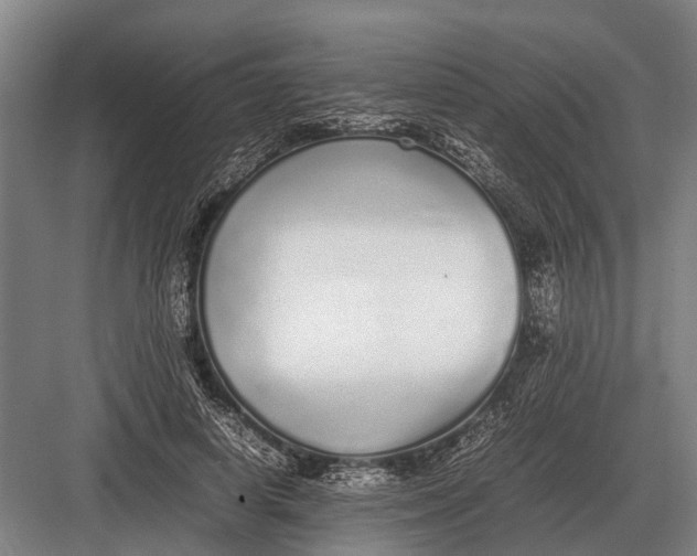 X0000082740642200702161934