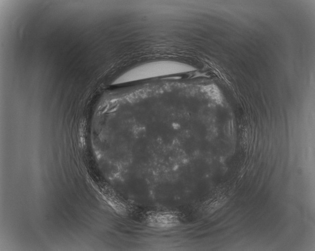 X0000082740643200702161934