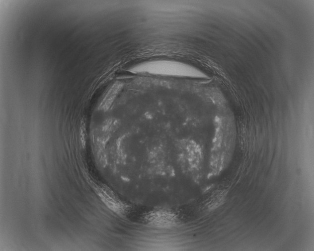 X0000082740644200702161934