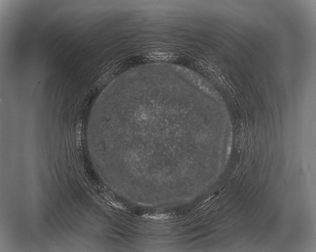 X0000082740647200702161934