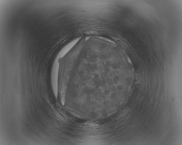 X0000082740648200702161934