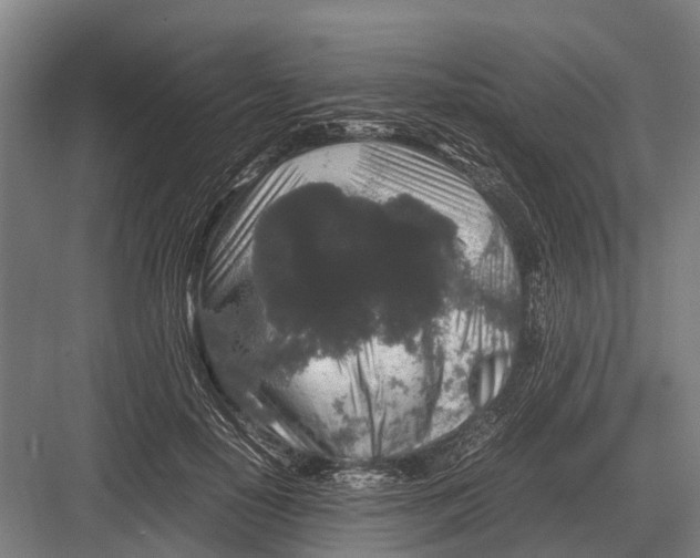 X0000082740650200702161934