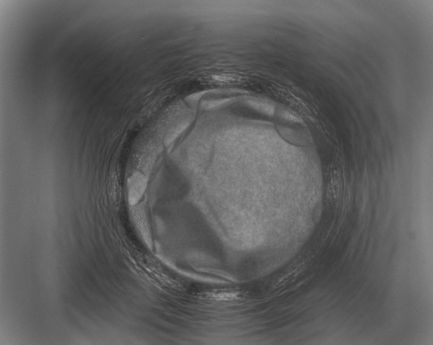 X0000082740651200702161934