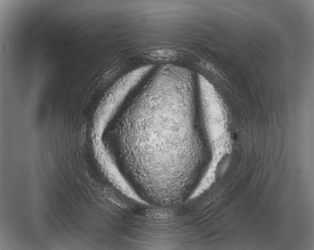 X0000082740652200702161934