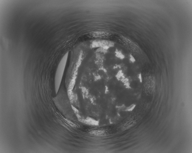 X0000082740653200702161934