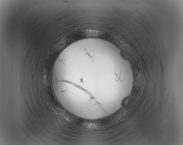 X0000082740655200702161934