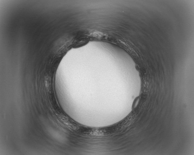 X0000082740656200702161934