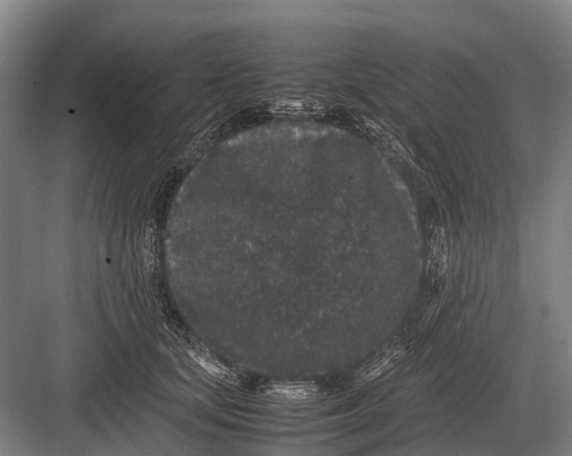 X0000082740659200702161934