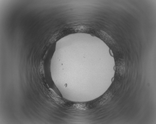 X0000082740660200702161934