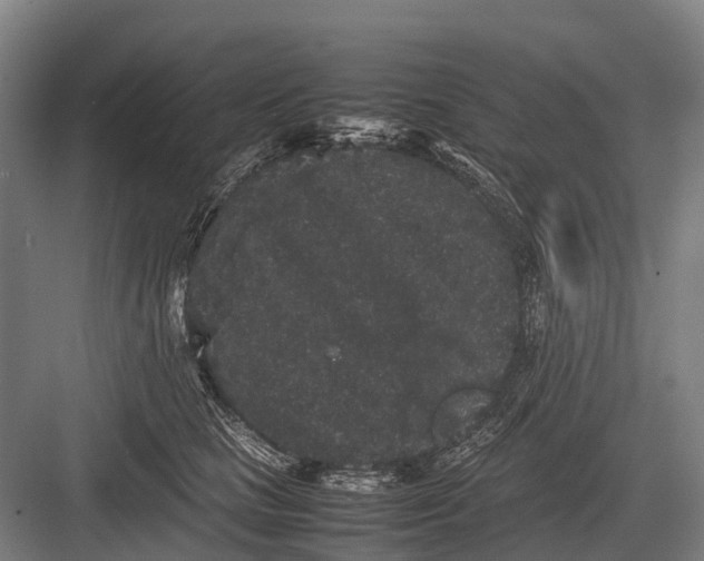 X0000082740661200702161934