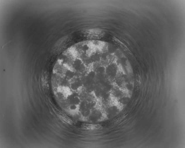 X0000082740663200702161934