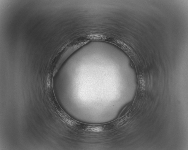 X0000082740665200702161934