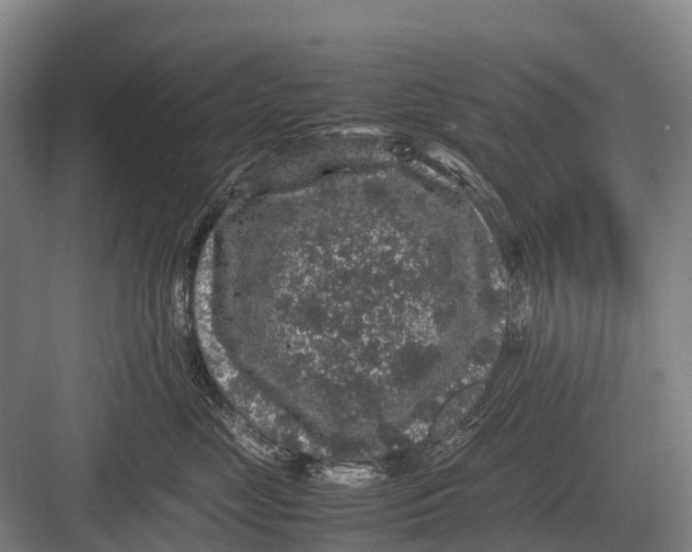 X0000082740669200702161934