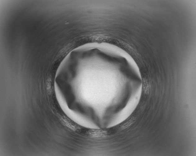 X0000082740670200702161934