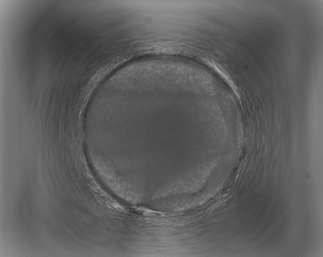 X0000082740673200702161934