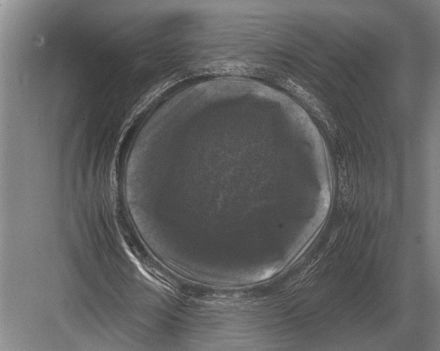 X0000082740674200702161934