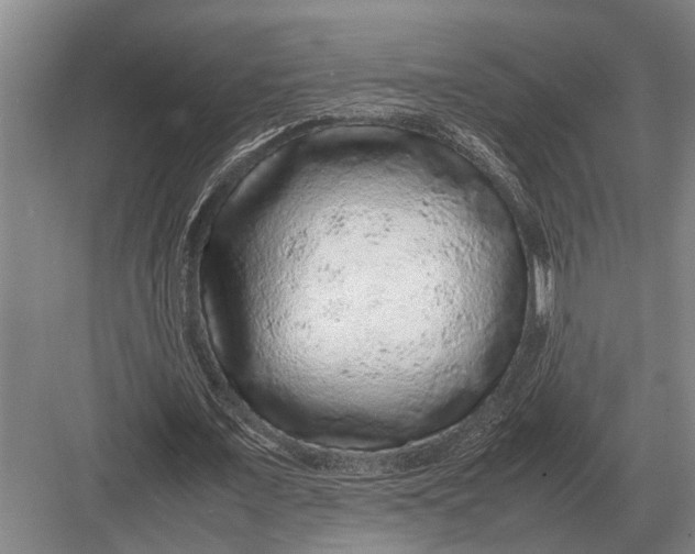 X0000082740675200702161934