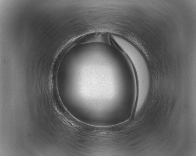 X0000082740676200702161934