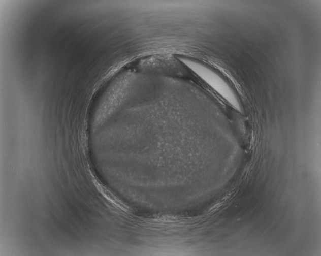 X0000082740677200702161934