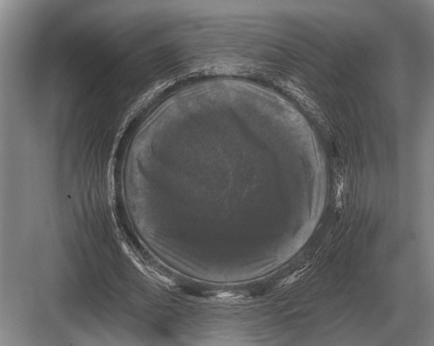 X0000082740678200702161934