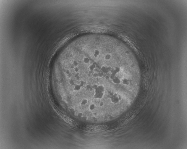 X0000082740679200702161934