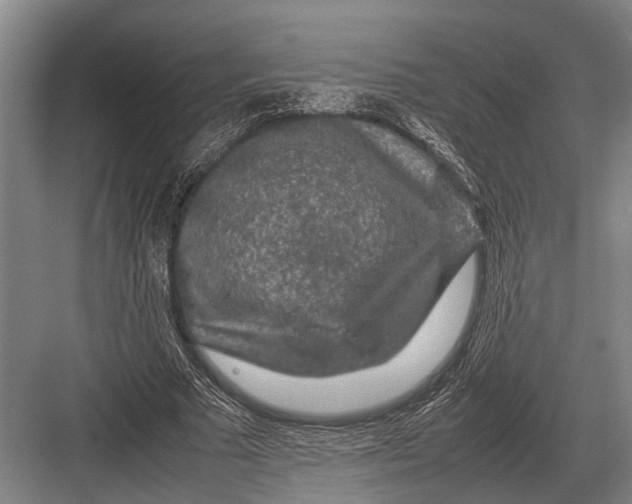 X0000082740681200702161933