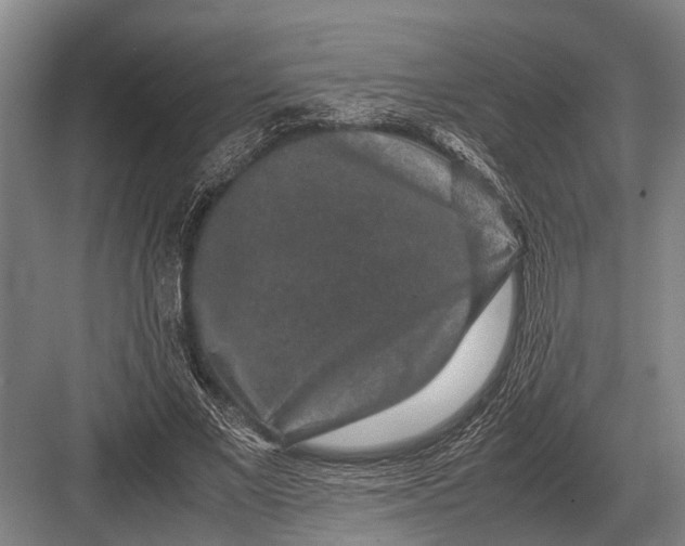 X0000082740685200702161933