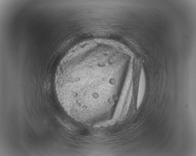 X0000082740687200702161933