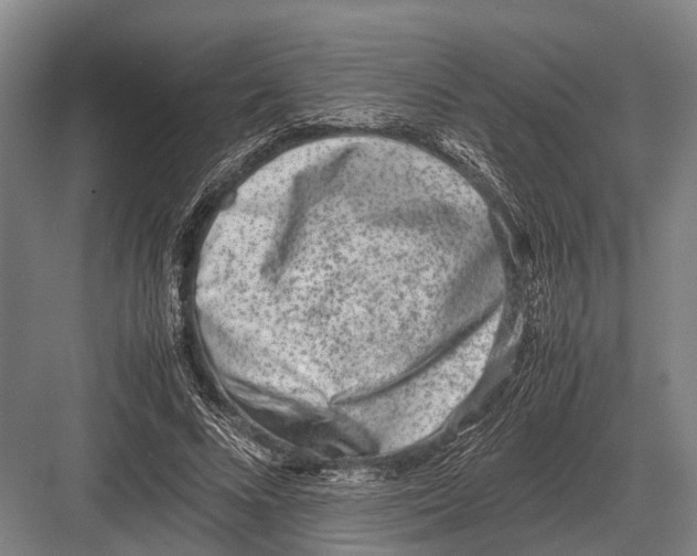 X0000082740688200702161933