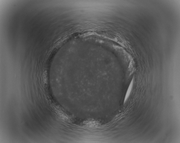 X0000082740689200702161933