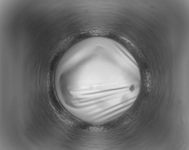 X0000082740690200702161933