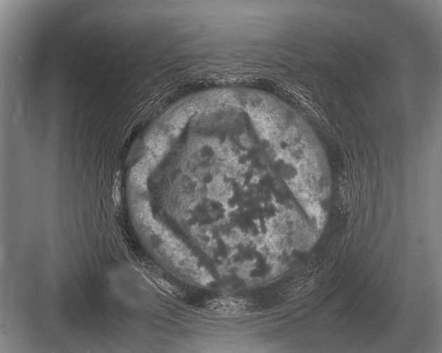 X0000082740691200702161933