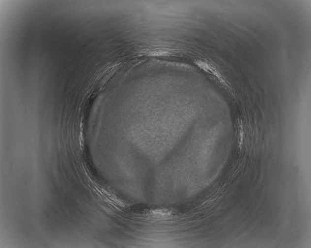 X0000082740692200702161933