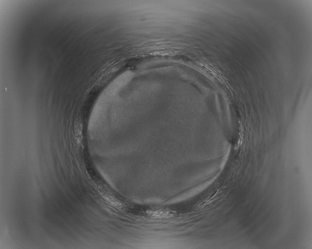 X0000082740693200702161933