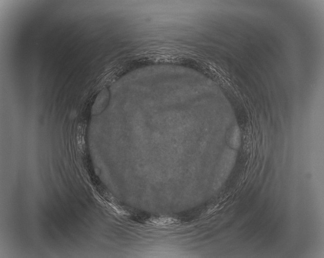 X0000082740695200702161933