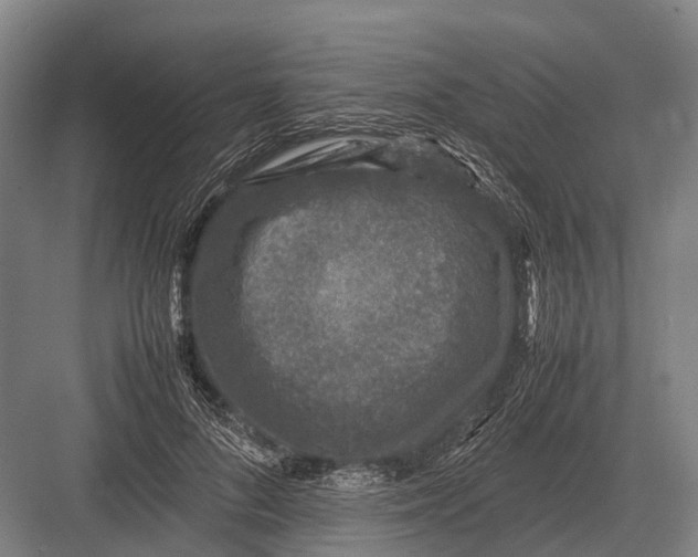 X0000082740696200702161933