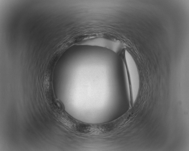 X0000082740697200702161933