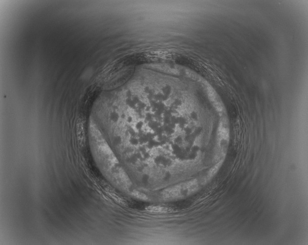 X0000082740699200702161933