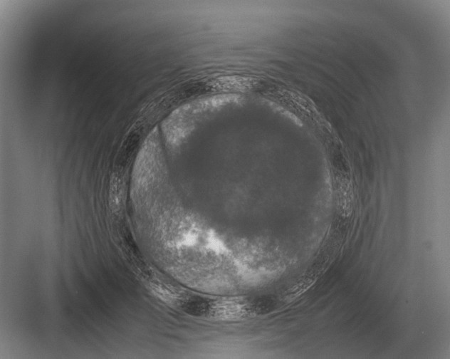 X0000082740701200702161933