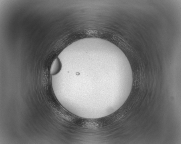 X0000082740702200702161933