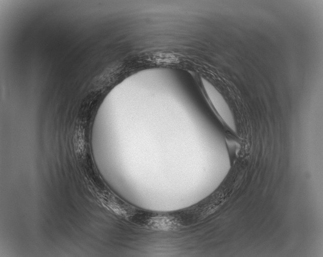 X0000082740704200702161933