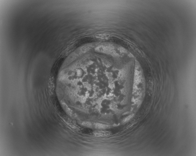 X0000082740707200702161933