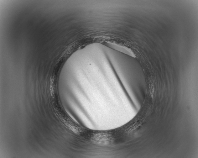 X0000082740708200702161933