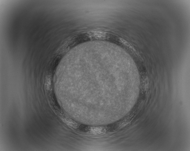 X0000082740709200702161933