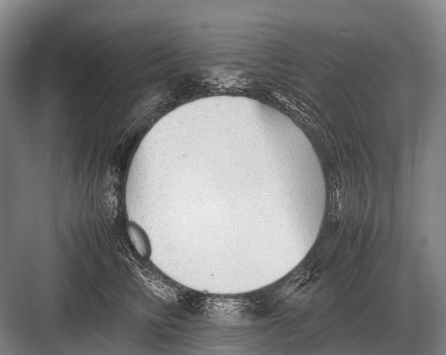 X0000082740710200702161933