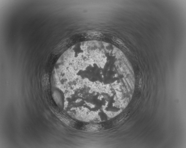 X0000082740711200702161933