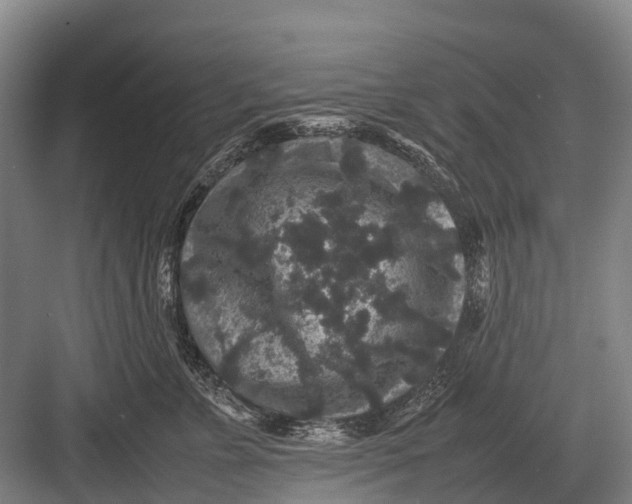 X0000082740715200702161933