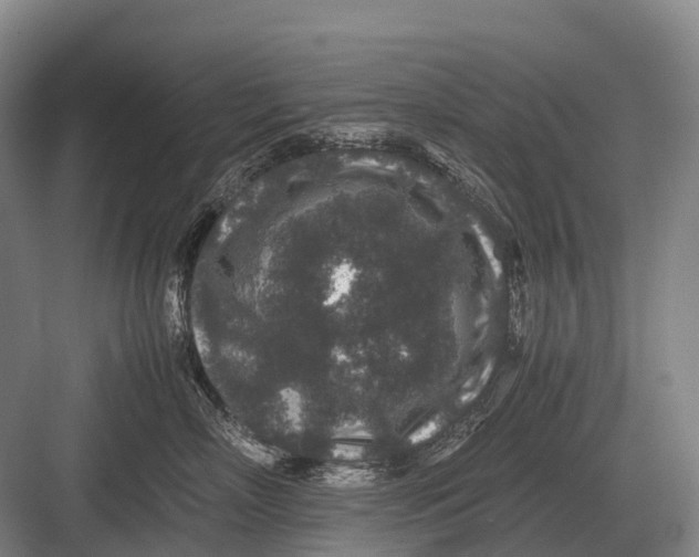 X0000082740718200702161933