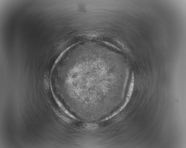 X0000082740719200702161933