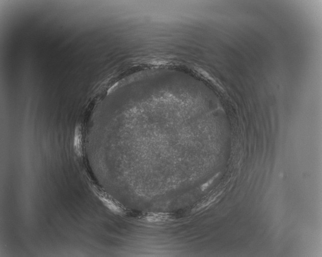 X0000082740720200702161933